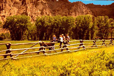 Wyoming_fence